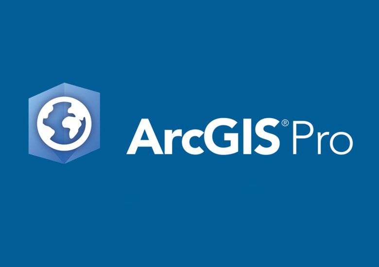 Formation des cadres de INSTAD sur le pack ArcGis Pro d’ESRI